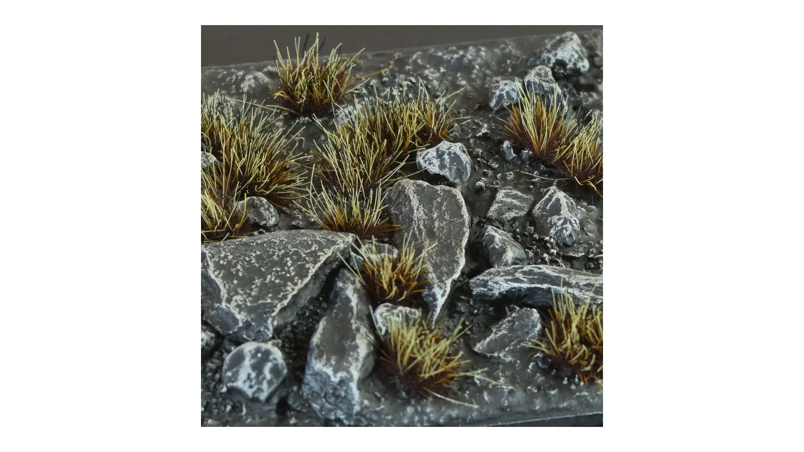 GG6-BUR-wild Burned (6mm)