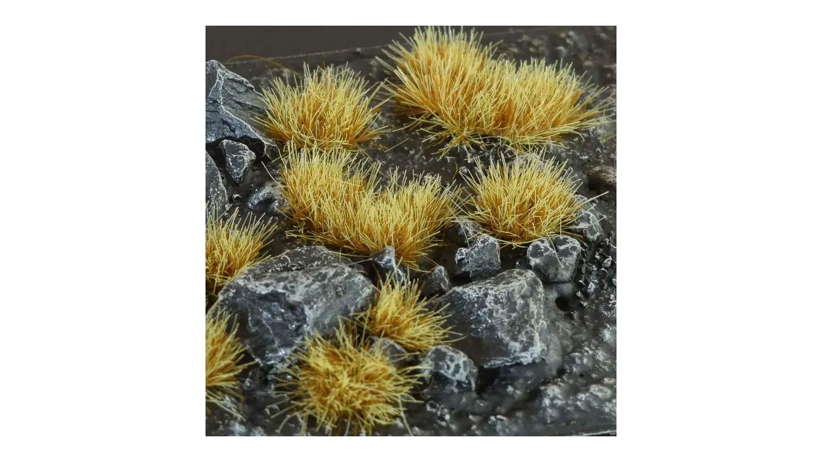 GG6-DT-small Drytuft (6mm)