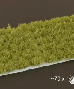 Alternative view of GGD6-DG Dense green