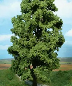 Heki 1943 Mountain Maple 35cm