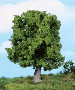 Heki 1945 oak tree 18 cm