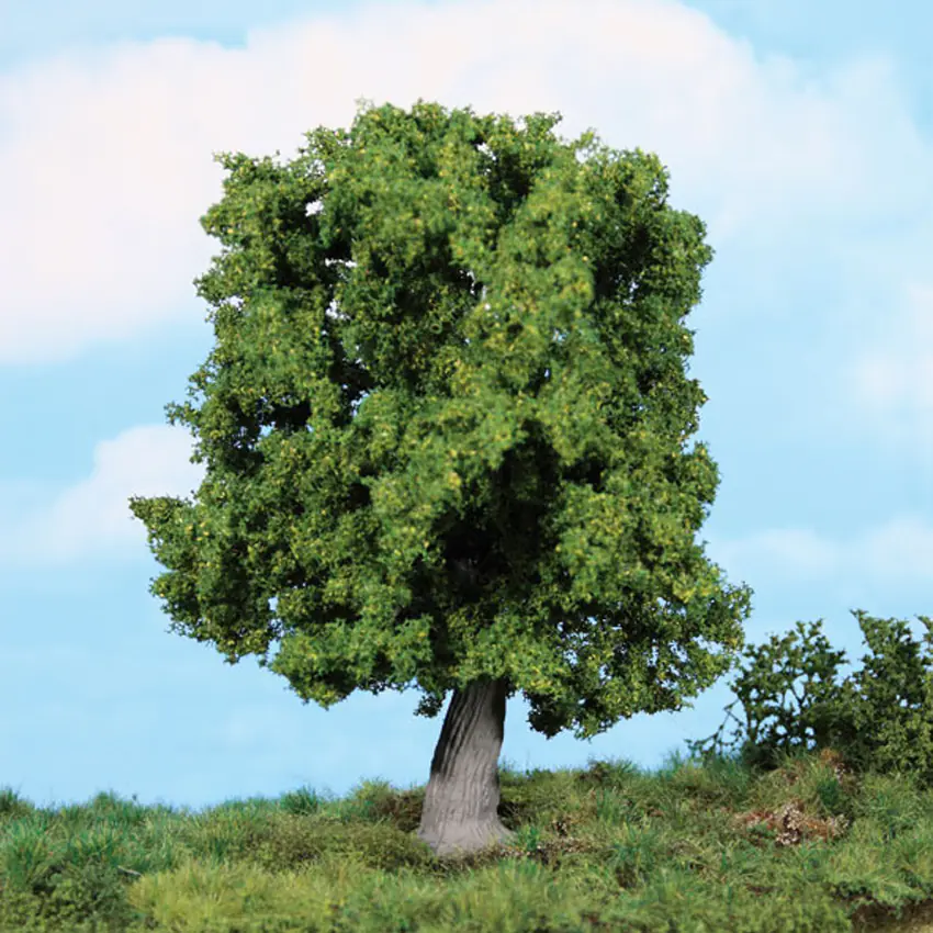 Heki 1945 oak tree 18 cm
