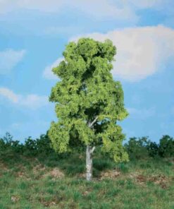 Heki 1986 birch tree 20 cm