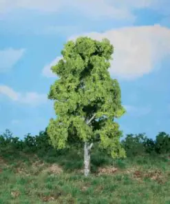 Heki 1986 birch tree 20 cm