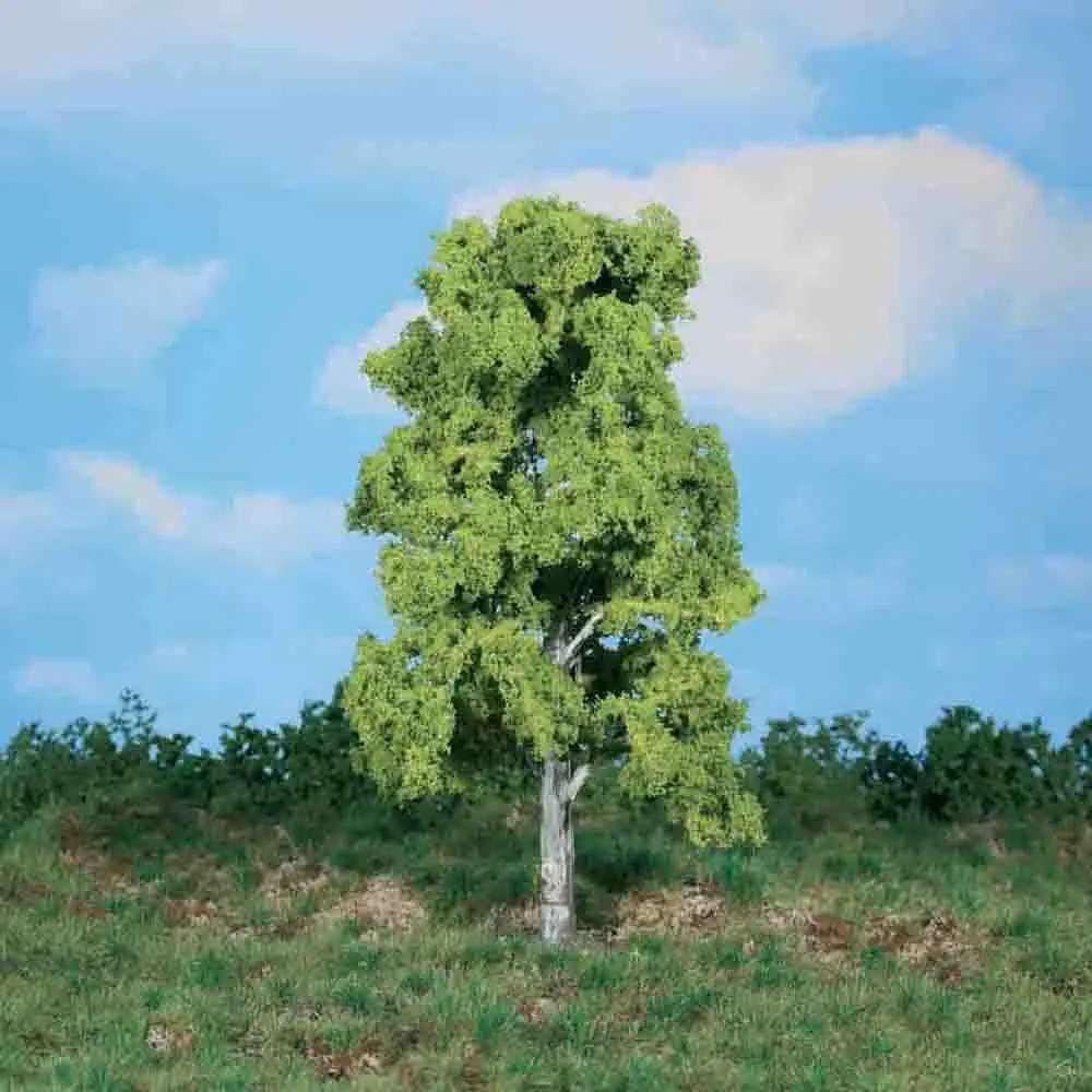 Heki 1986 birch tree 20 cm