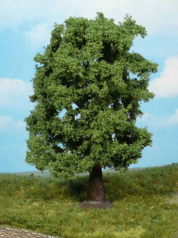 Heki 1741 chestnut tree 20 cm