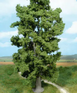 Heki 1942 cliff maple tree 30 cm