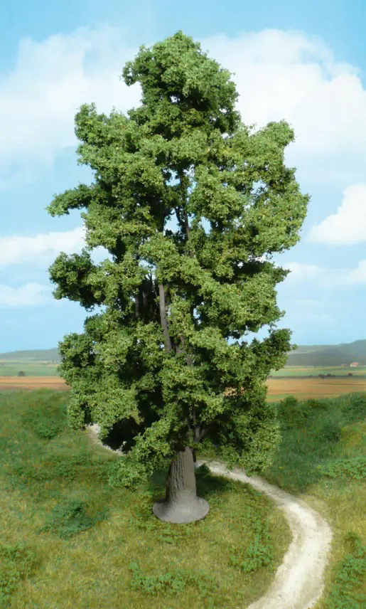 Heki 1942 cliff maple tree 30 cm