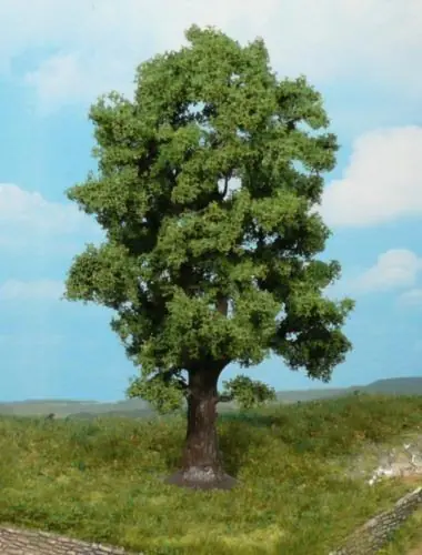 Heki 1740 oak tree 18 cm