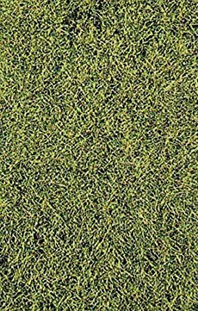 Heki 1574 realistic wild grass savannah / 28 x 14 cm