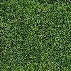 Heki 1573 realistic wild grass marshy county / 28 x 14
