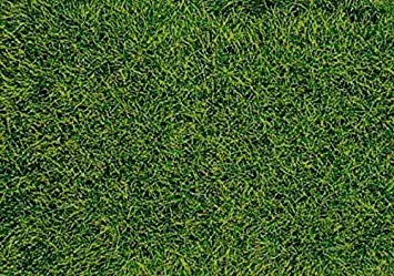 Heki 1573 realistic wild grass marshy county / 28 x 14