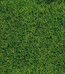 Heki 1578 realistic wild grass mountain meadow / 28 x 1