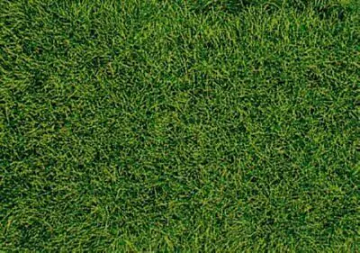 Heki 1578 realistic wild grass mountain meadow / 28 x 1