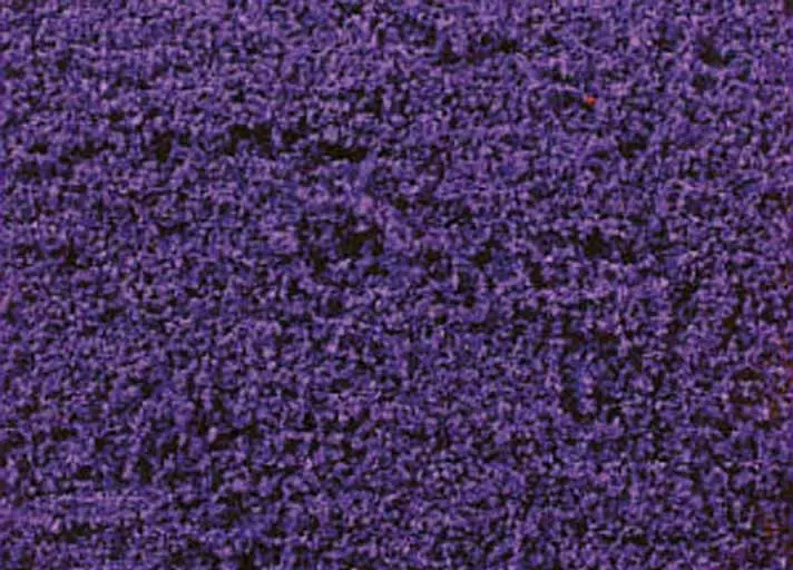heki 1587 decograss wild violet