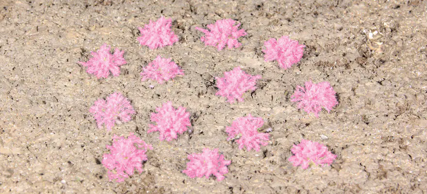 Heki 1825 grass tufts lavender 5-6 mm / 100 pc