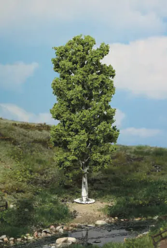 Heki 1984 1 birch tree, 20 cm