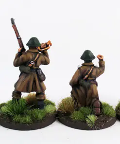 Alternative view of DAN002 - Danish Infantry Command