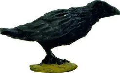 Alternative view of DMH601 Blister	A Murder of Crows