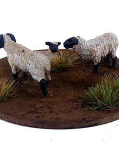 Alternative view of DMH657	Blister	A Flock of Sheep (6 models)
