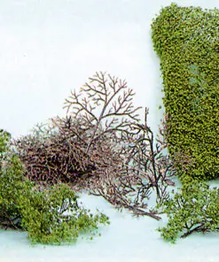 heki 1530, 15 bushes 2-6 cm + HEKI flor