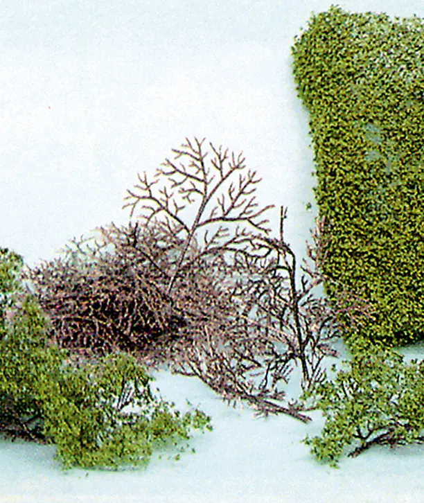 heki 1530, 15 bushes 2-6 cm + HEKI flor