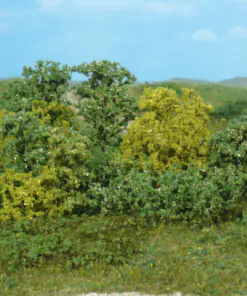 heki 1646, 20 bushes
