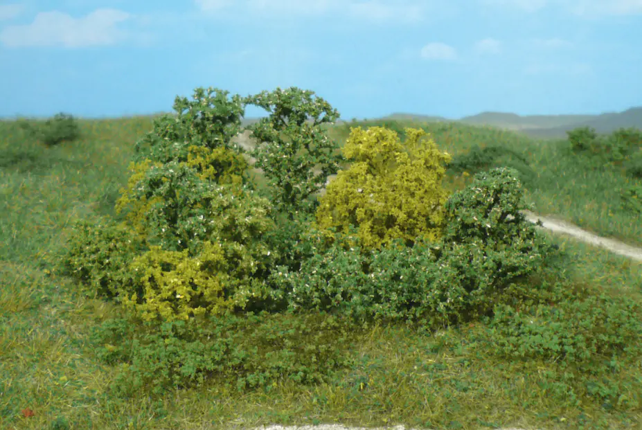 heki 1646, 20 bushes