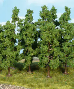 Heki 1925, 120 beech trees 11-13cm