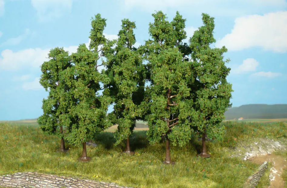 Heki 1925, 120 beech trees 11-13cm
