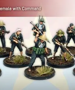 Alternative view of 281001 Viet Cong Fighters & Command