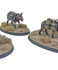 Alternative view of ALP021 - Alpini Mule Team