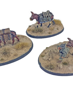 ALP021 - Alpini Mule Team