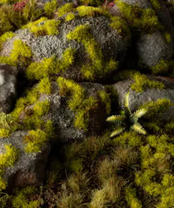 Alternative view of GG2-MO Moss (2mm)