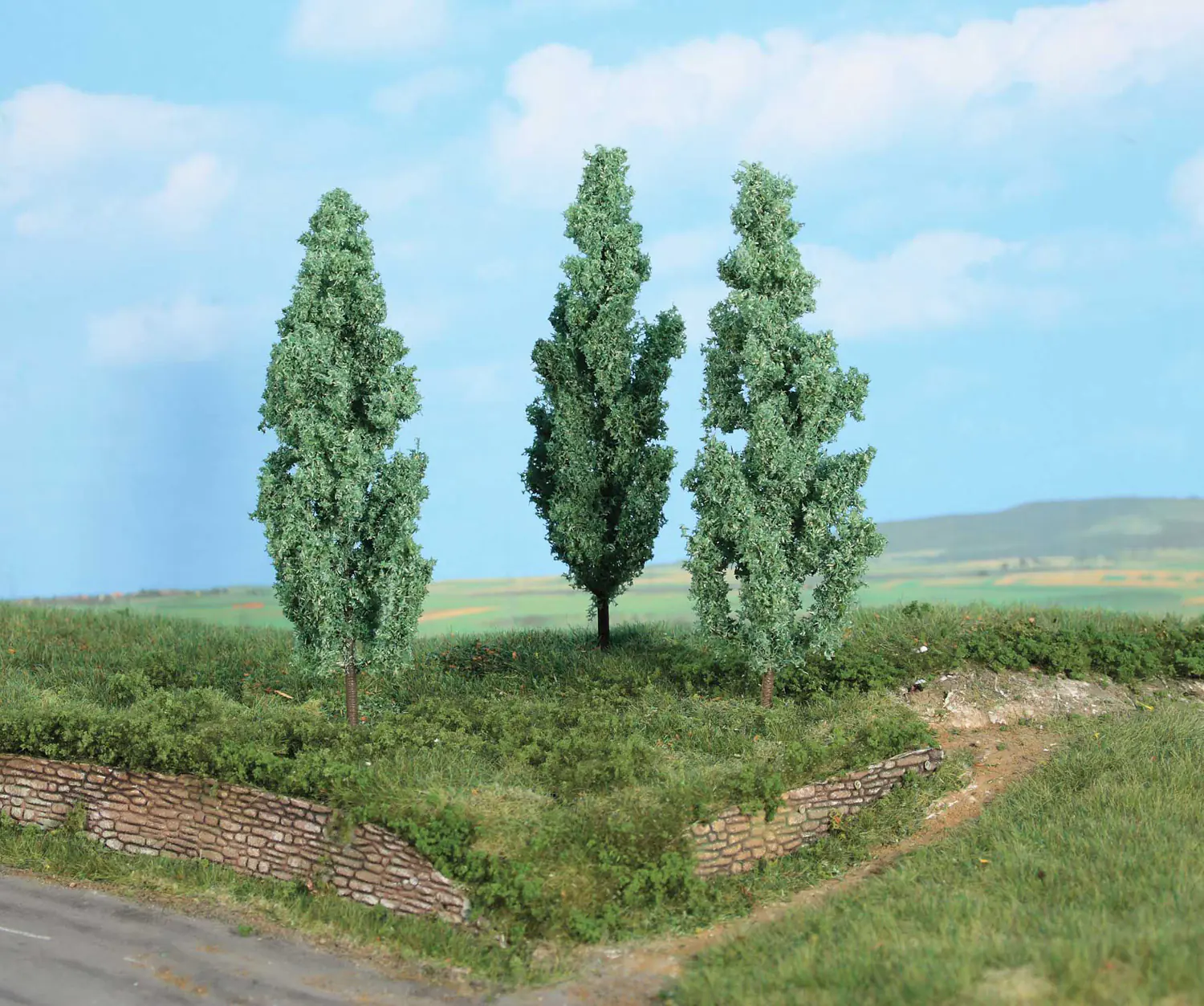 Heki 1782  3 silver poplars 13 cm
