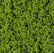 Heki 1554 - FLOR spring green 28X14CM