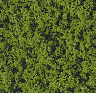 Heki 1552 - FLOR medium green 28X14CM