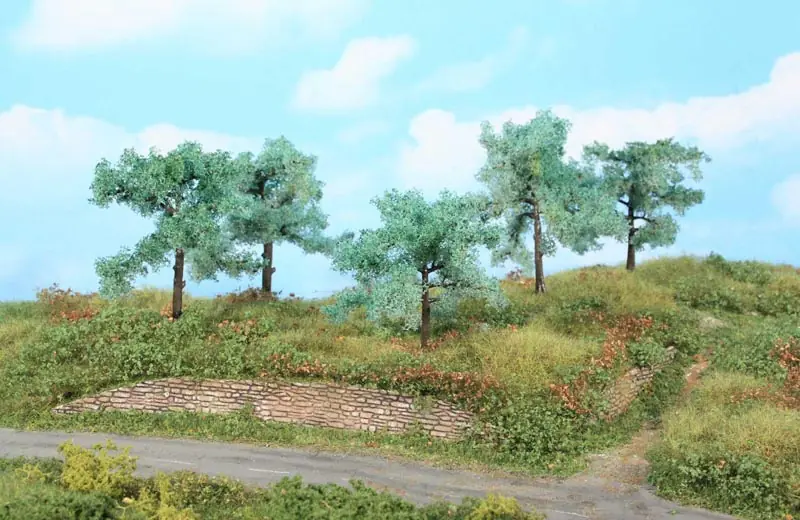 Heki 1773 Five olive trees 8-10cm