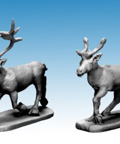 Caribou
