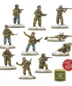 Alternative view of US Airborne (Winter) Pathfinder Squad