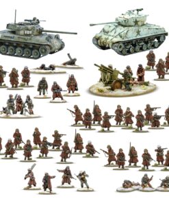 Alternative view of US Army (Winter) Starter Army
