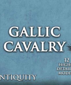 Alternative view of Ancient Gallic Cavalry