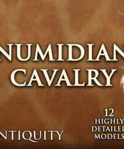 Numidian Cavalry - Image 10