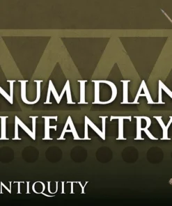 Numidian Infantry - Image 7