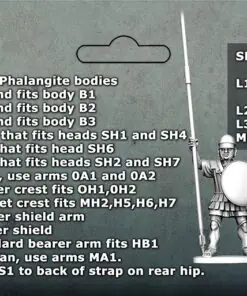 Successor Phalangites - Image 6