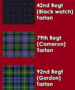 British Napoleonic Highlander Flank Companies - Image 5