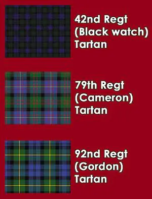 British Napoleonic Highlander Flank Companies - Image 5