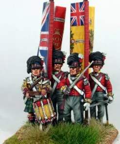 British Napoleonic Highlander Centre Companies - Image 11
