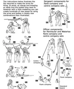 British Peninsular Infantry Centre Companies - Image 7