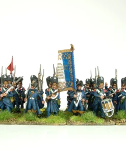 Napoleon's French Old Guard Grenadiers - Image 5